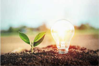 Light bulb in dirt