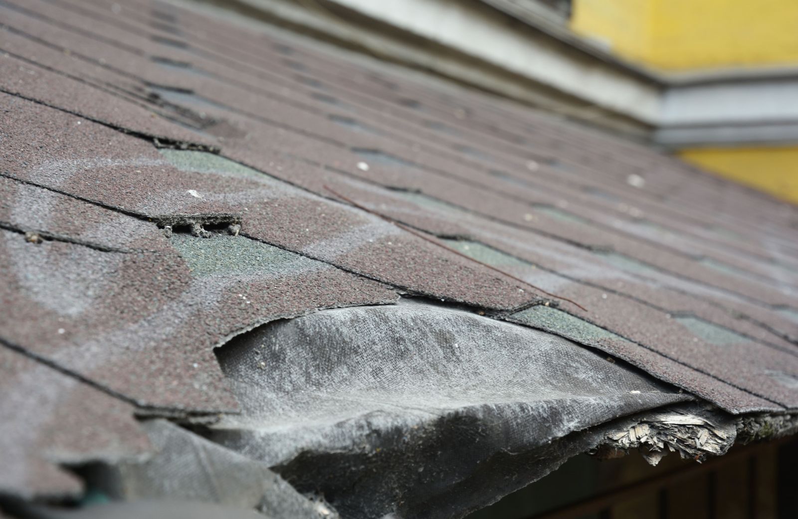 Rouse Roofing Inc. Images