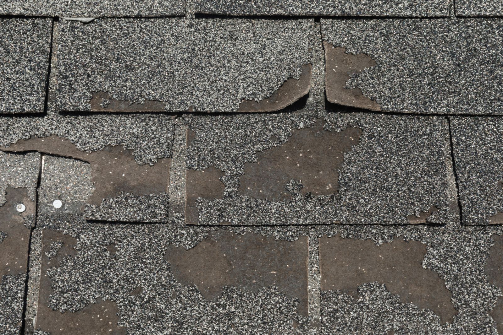 Rouse Roofing Inc. Images